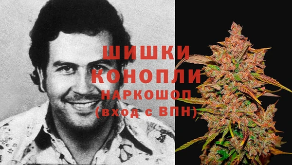 спайс Баксан