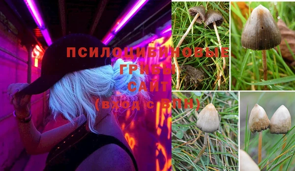 герыч Балахна