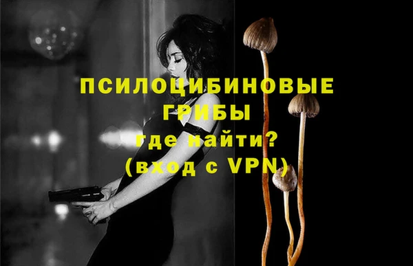 спайс Баксан