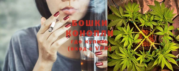 спайс Баксан