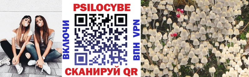 Псилоцибиновые грибы Psilocybine cubensis blacksprut как зайти Кувшиново